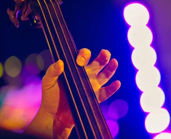 Kontrabass Foto